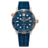 210.22.42.20.03.002 | Omega Seamaster Diver 300M Co-Axial Master